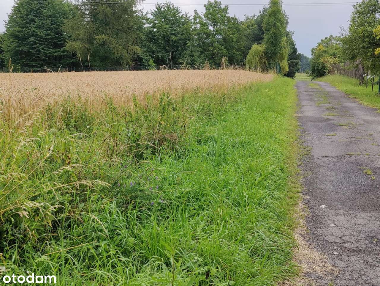 Działka budowalna 1554m2 blisko Skoczowa w miejscowości Międzyświeć - Pełny obrazek: 4/7