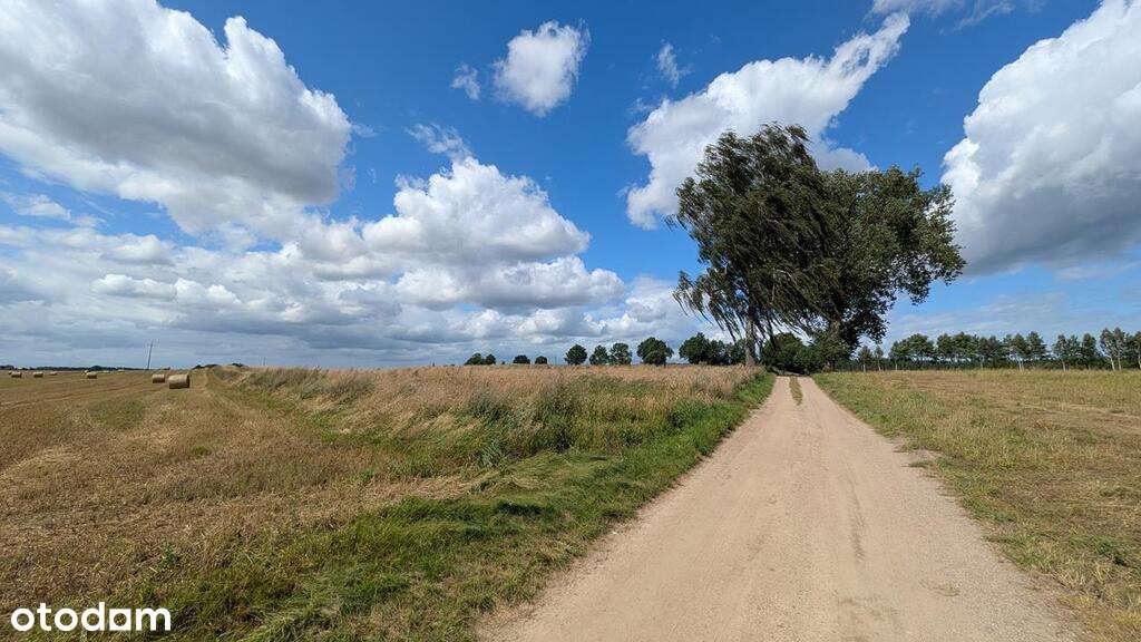 Na sprzedaż siedlisko na Pojezierzu Drawskim.-7