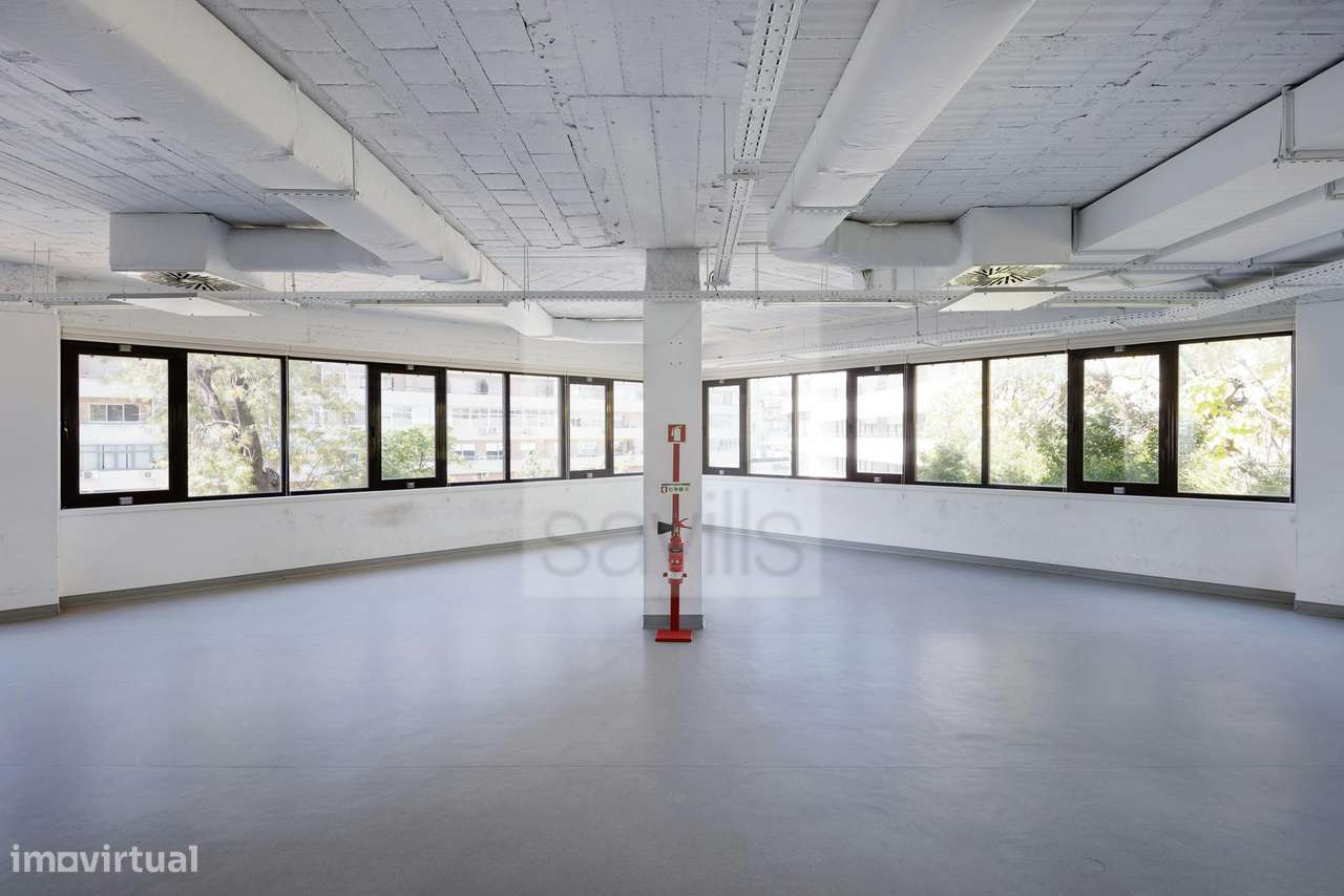 Ricardo Severo 3 - Grande imagem: 4/16