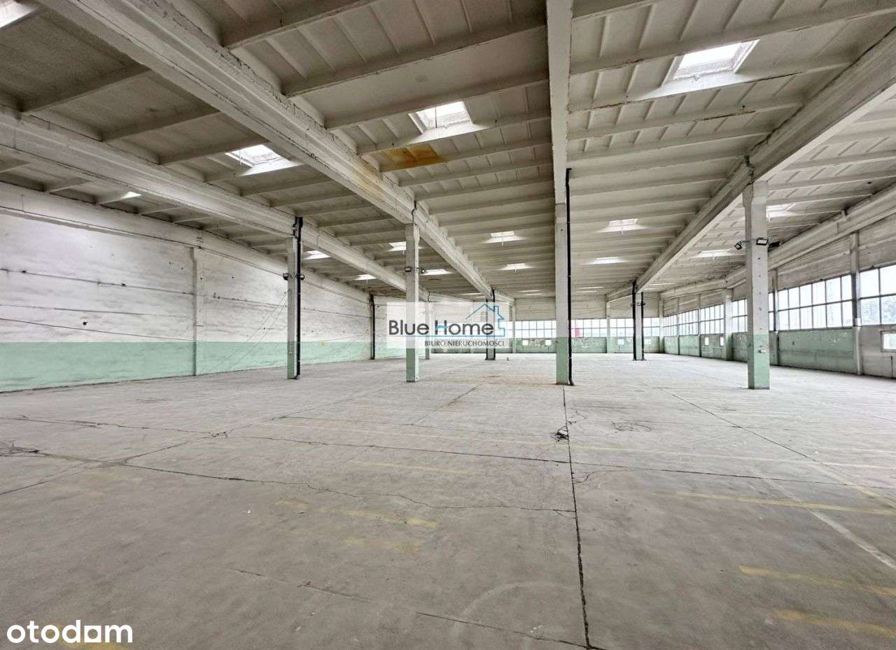 Hala magazynowa w dogodnej lokalizacji 4200 mkw - Pełny obrazek: 5/15