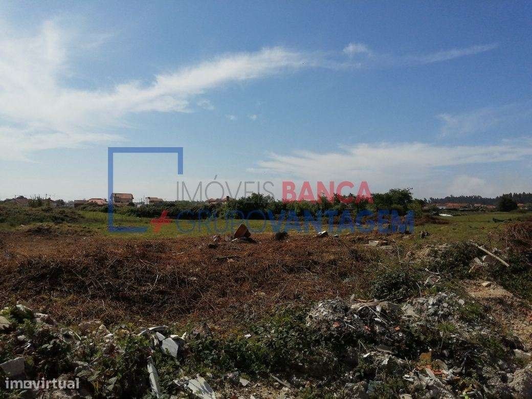 Terreno - Cacia - Aveiro - Grande imagem: 5/6