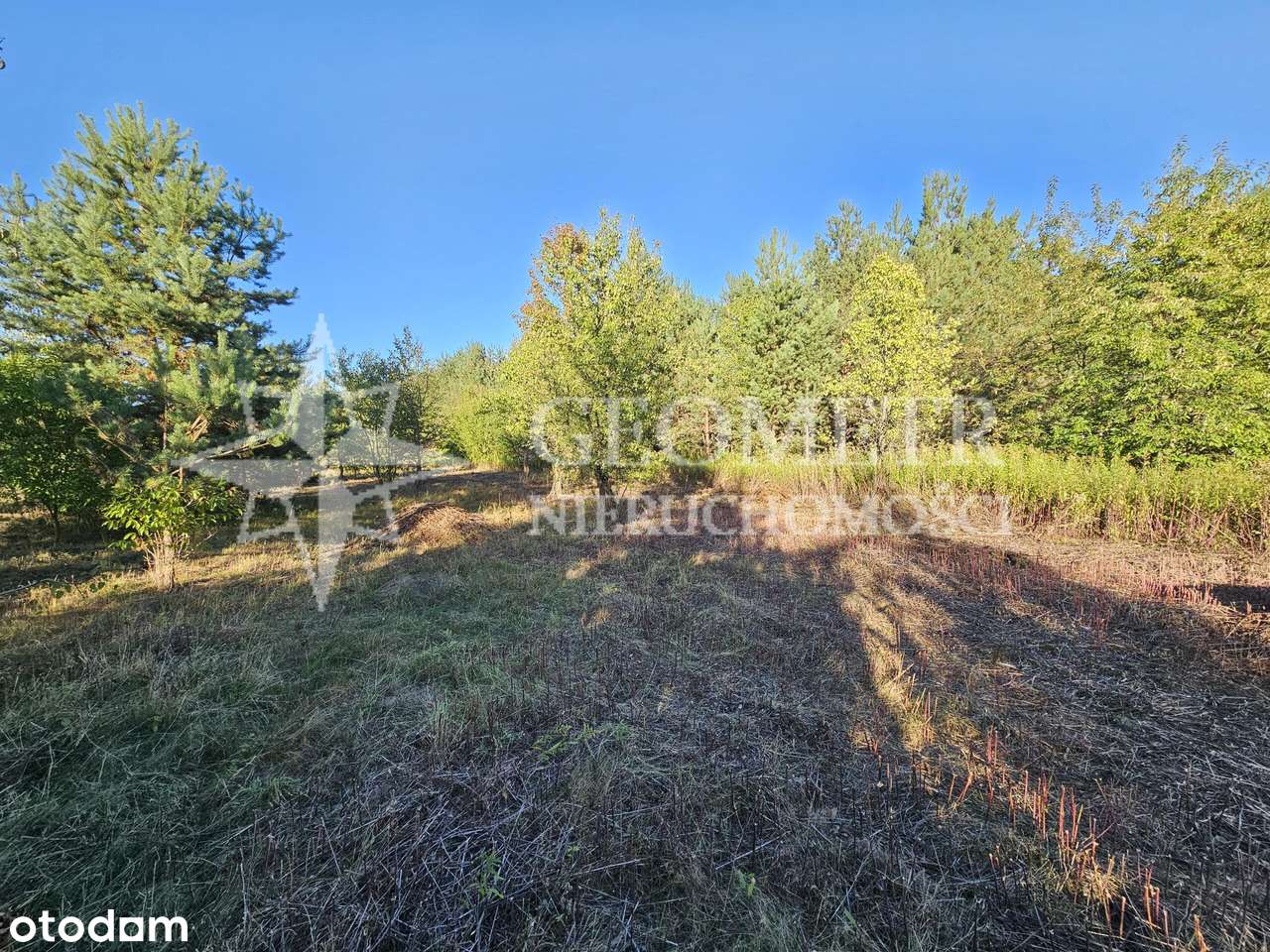 działka w otoczeniu zieleni, nowy teren - Pełny obrazek: 5/9