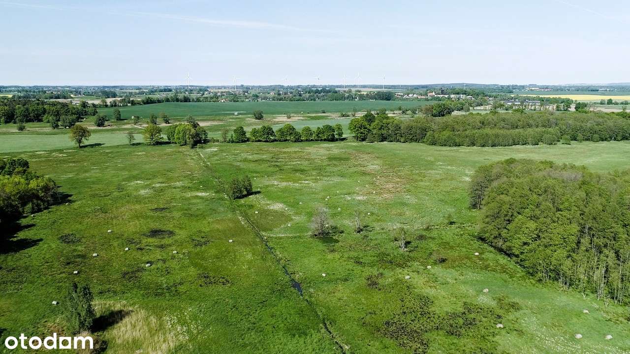 Działka w Biesiekierzu blisko morza i Koszalina (42 ha!) - Pełny obrazek: 5/8