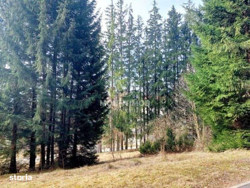 Teren intravilan în Poiana Brașov, strada Poiana Ruia-5