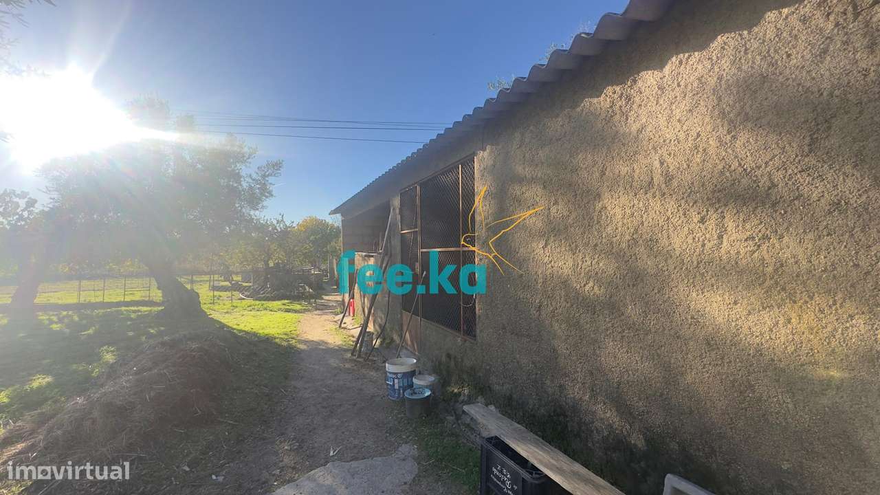 Quinta em Escalos de Baixo-7