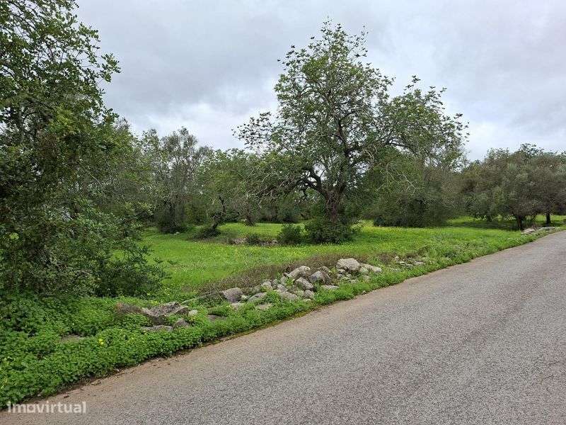 Belo terreno urbano de 2432m2 para construir até 4 moradias - Grande imagem: 5/9