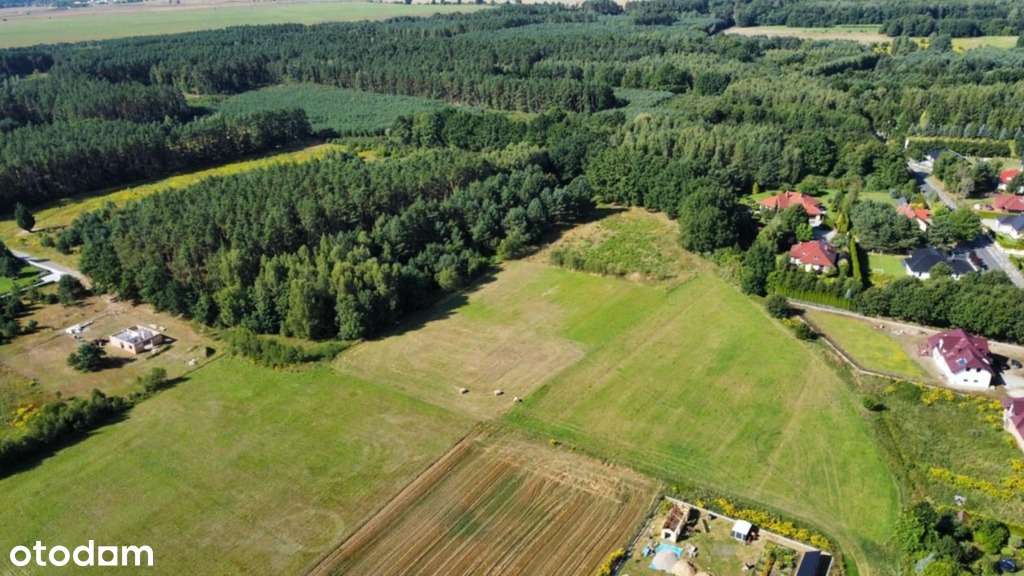 DUŻA DZIAŁKA PRZY LESIE - Pełny obrazek: 4/6