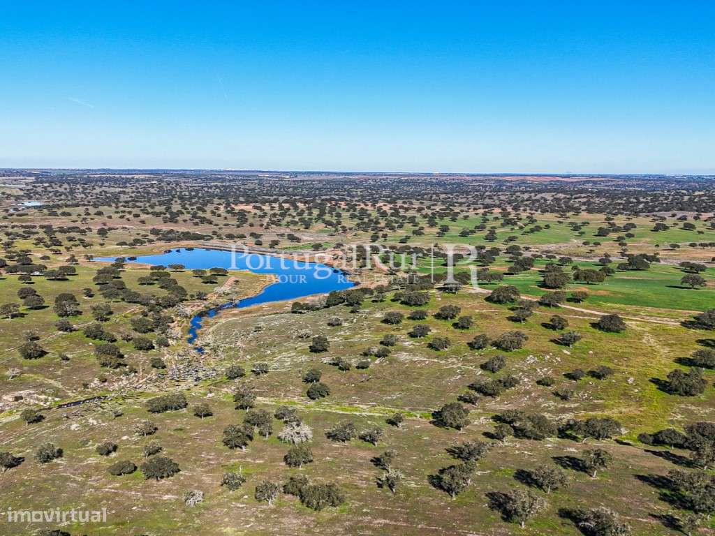 Herdade com 844 hectares - Ganadaria para Engorda de Animais e Prad... - Grande imagem: 4/49