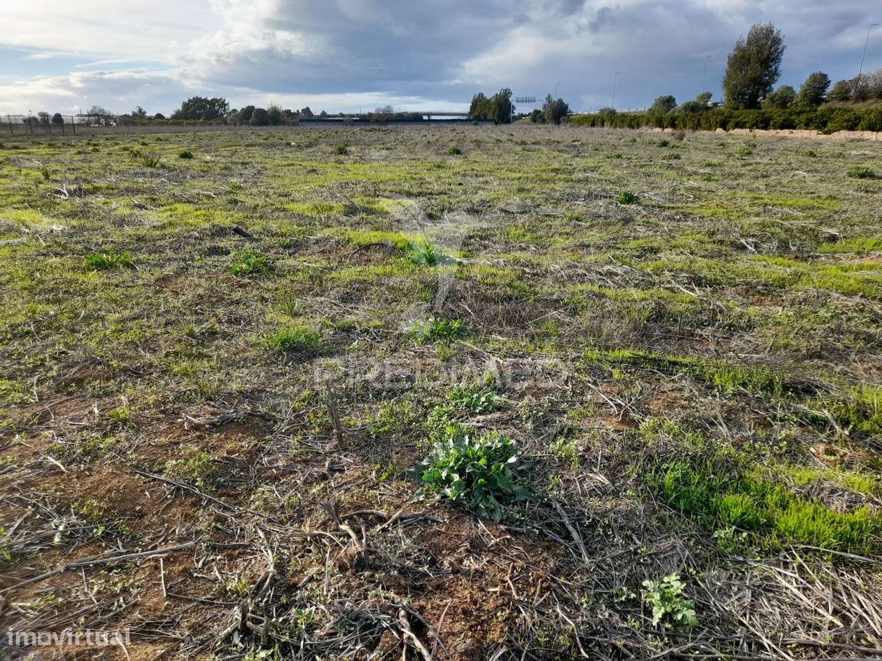 Dois terrenos rusticos com área 11400m2  na saida de Faro - Grande imagem: 4/7