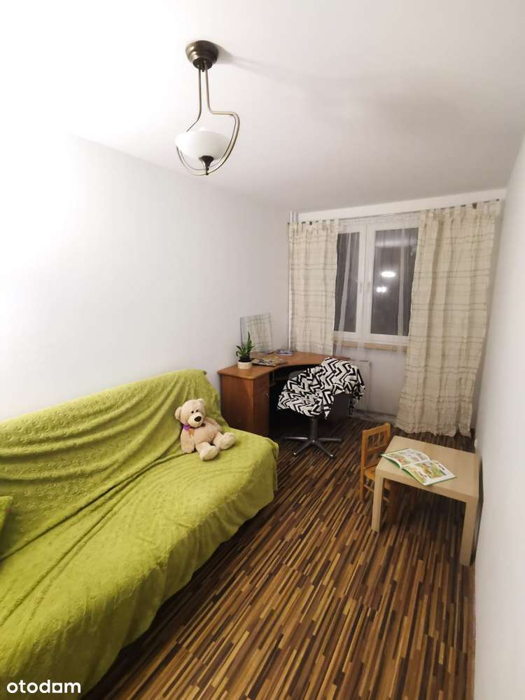 Pokoje- gabinety psychologiczne -logopedyczne- księgowość  -centrum - Pełny obrazek: 5/17