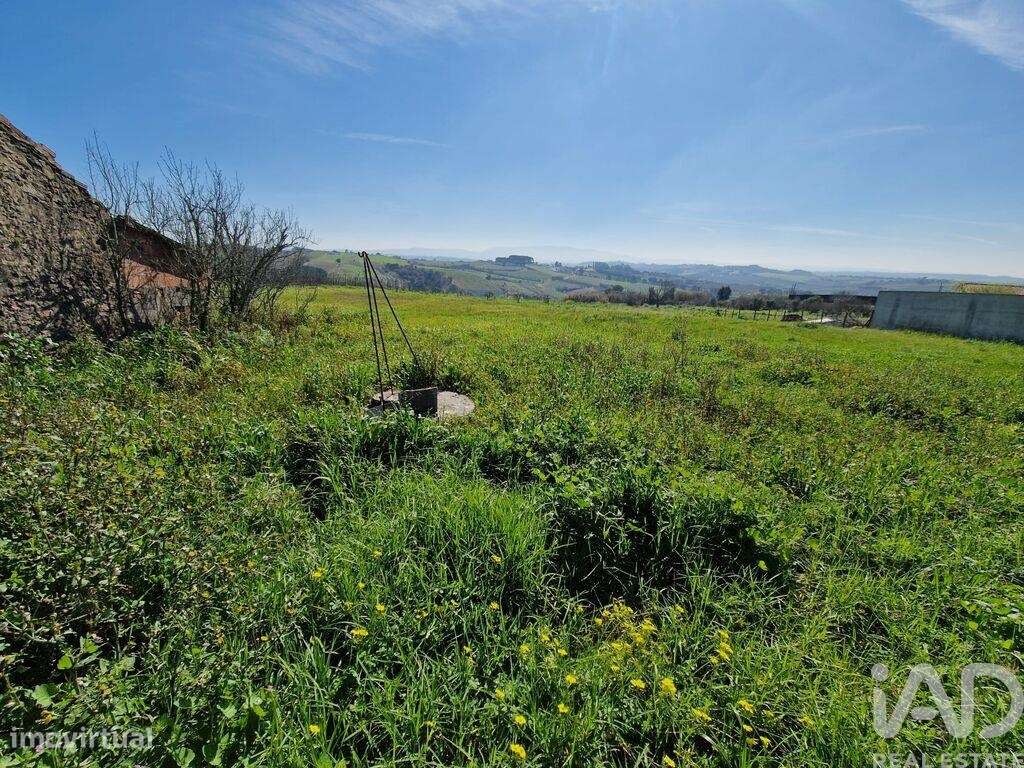 Quinta T3 em Carvalhal de 104,00 m2 - Grande imagem: 5/22