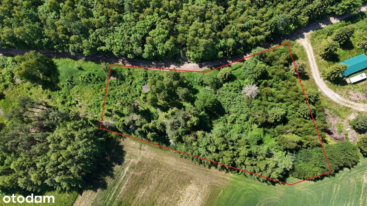 Działka budowlana przy lesie-3