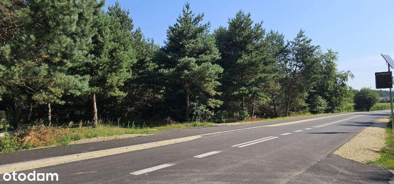 Działka Kucoby 160 m od jeziora! - Pełny obrazek: 4/8