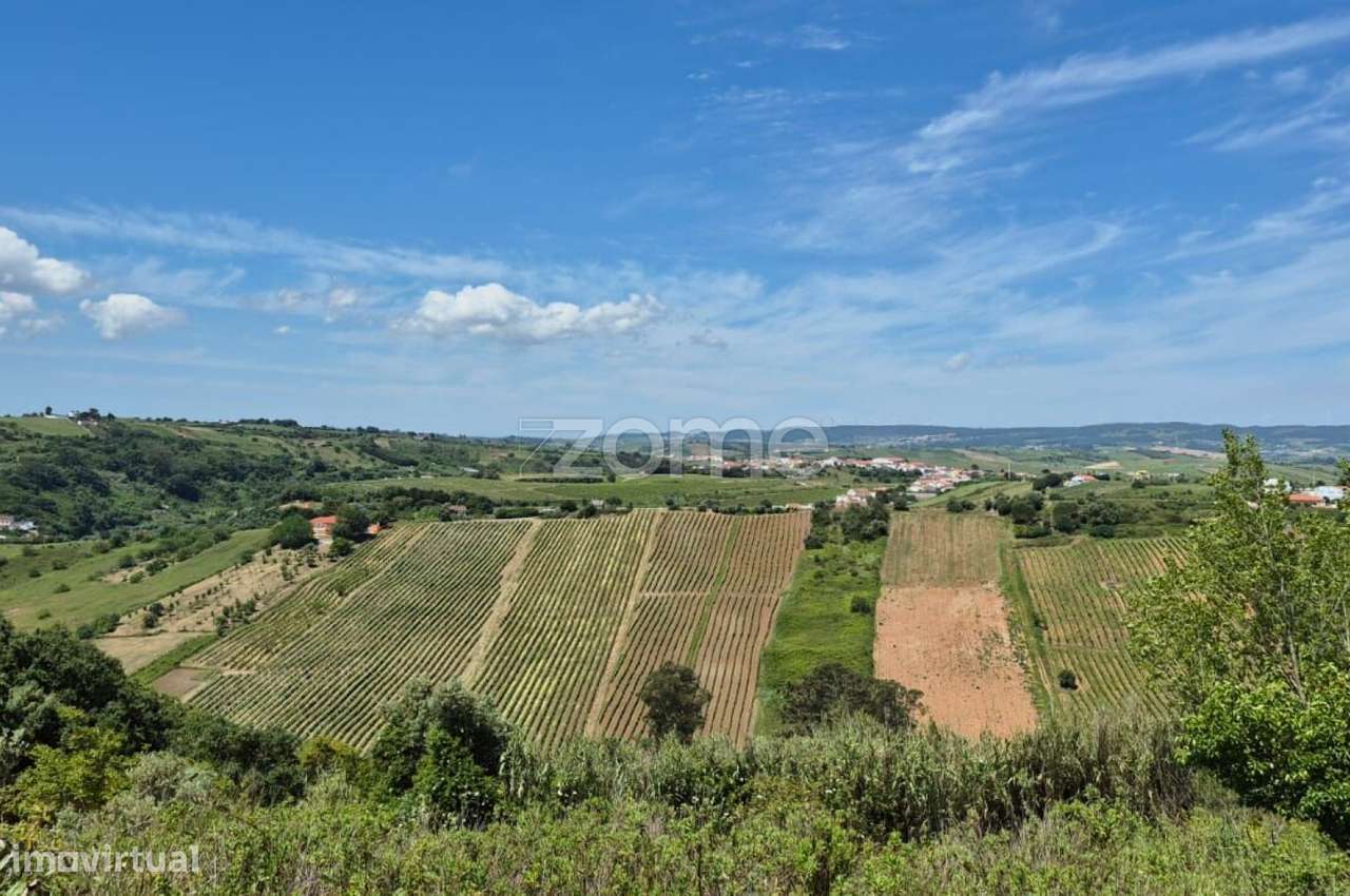 Terreno Casal Teles, Meca-12