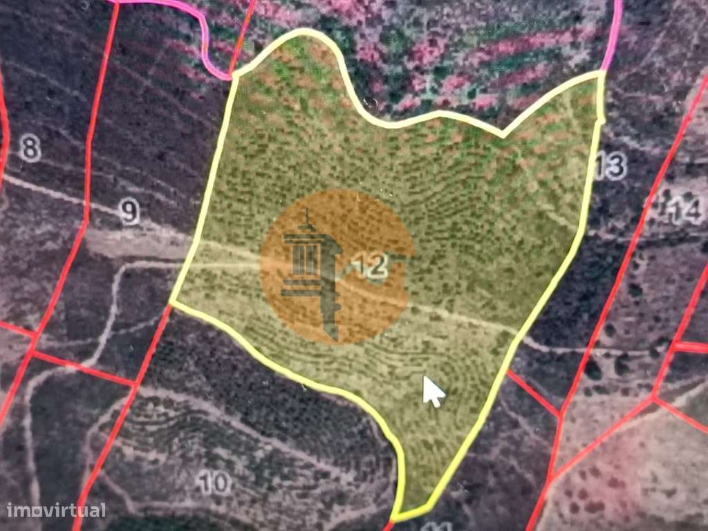 TERRENO COM 60.200 M2 - COM POSSIBILIDADE DE CONSTRUÇÃO - MORADIA -... - Grande imagem: 2/17