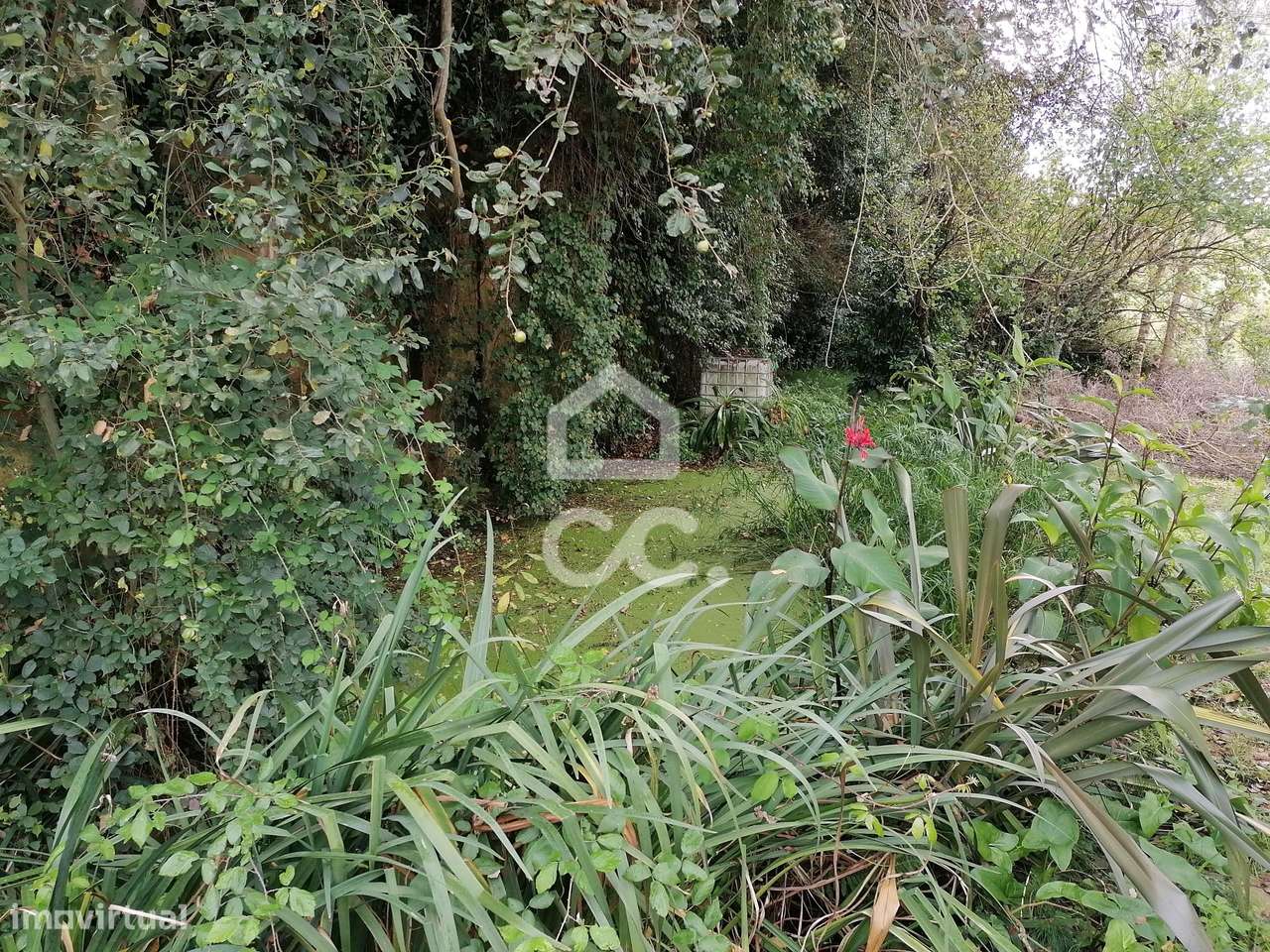 Quintinha de charme com piscina em lote de 7562,60 m² no Cadaval — um-49