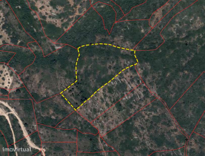 Terreno rústico com 1 hectare em Masoes, Alcaria - Grande imagem: 3/6