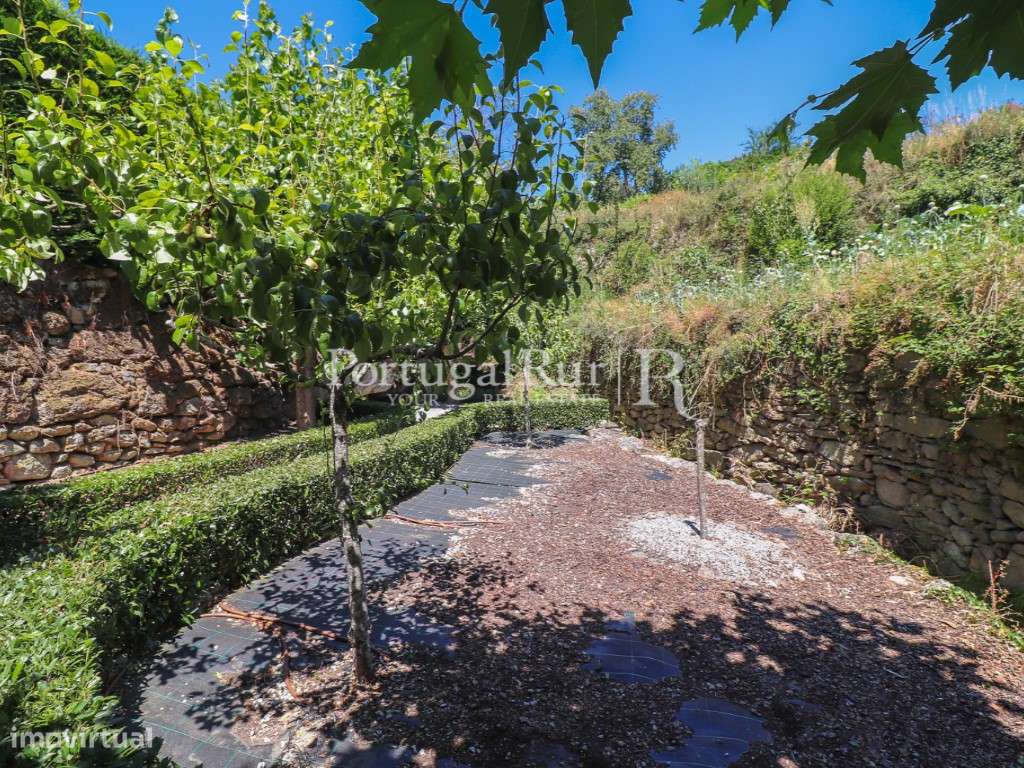 Casa Senhorial com Piscina Proximidades de Trancoso-13