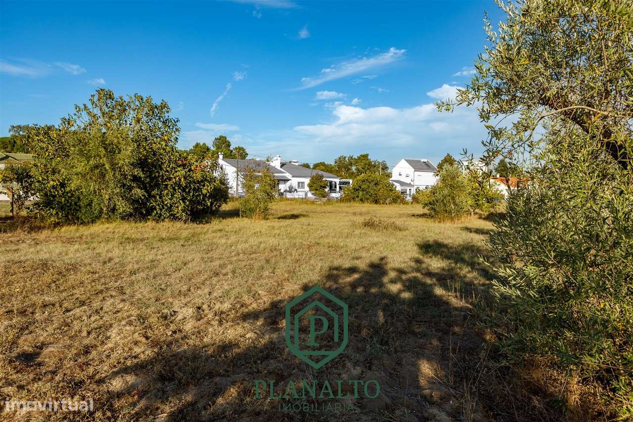 Quinta  Venda em Cortiçadas de Lavre e Lavre,Montemor-o-Novo-11