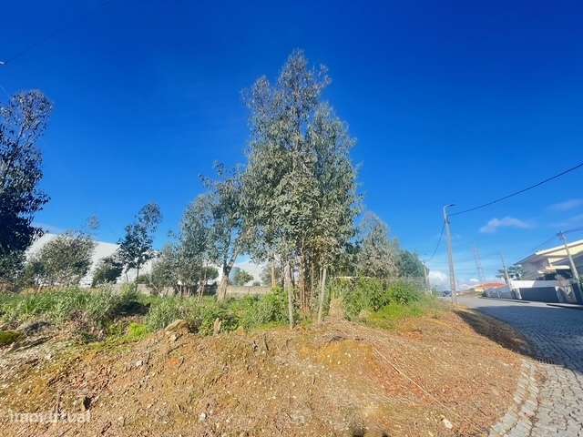 Terreno com 733m2, localizado próximo do Centro de Canelas! - Grande imagem: 2/12