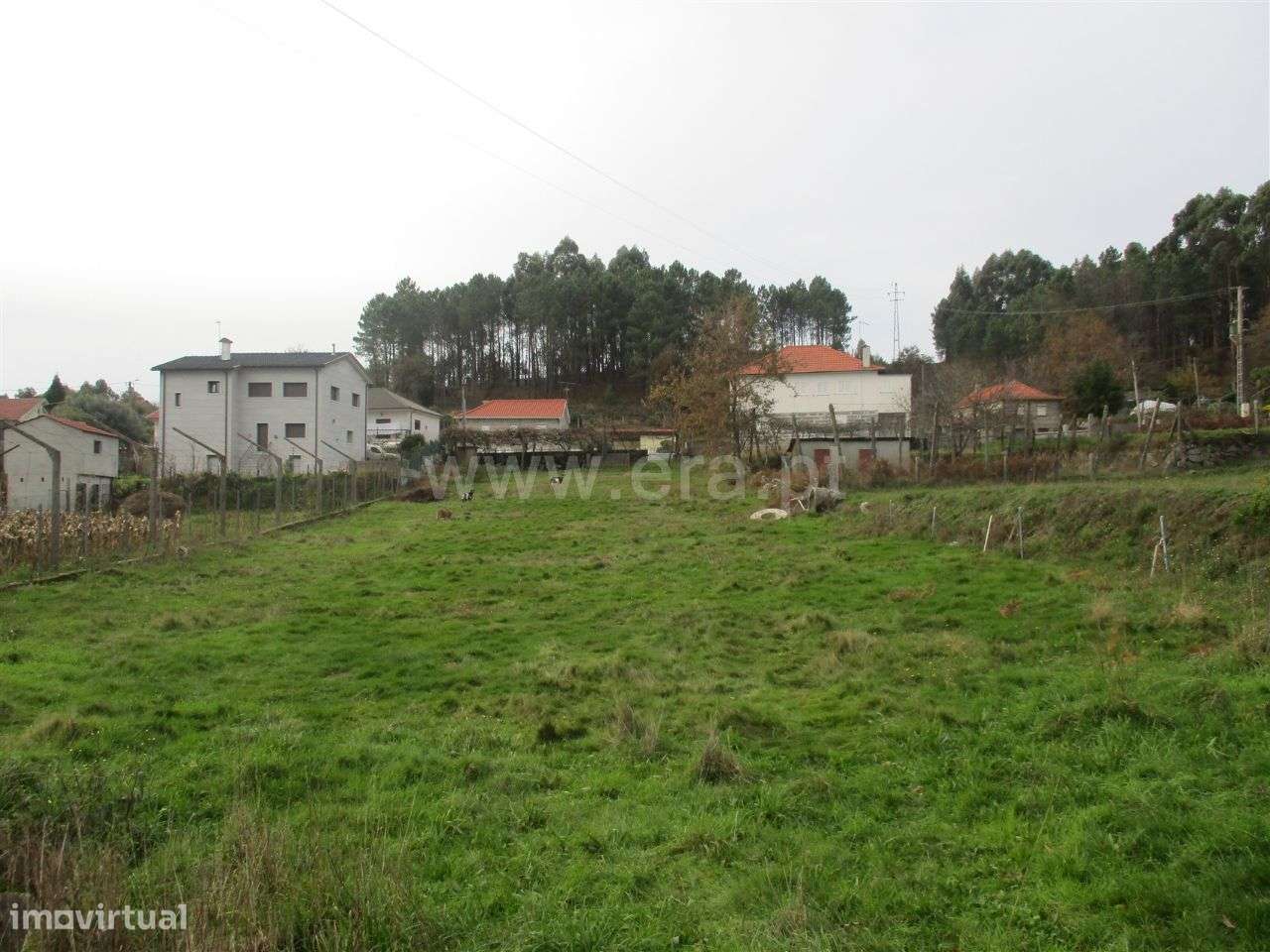 Terreno em Arnozela - Grande imagem: 4/14