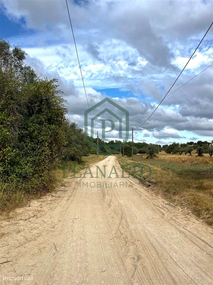 Quinta >=T10 Venda em Cortiçadas de Lavre e Lavre,Montemor-o-Novo-24