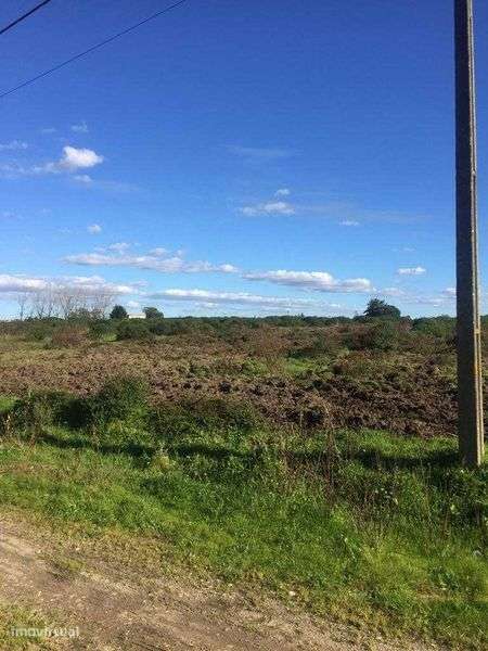 Terreno em Benavente - Grande imagem: 2/4