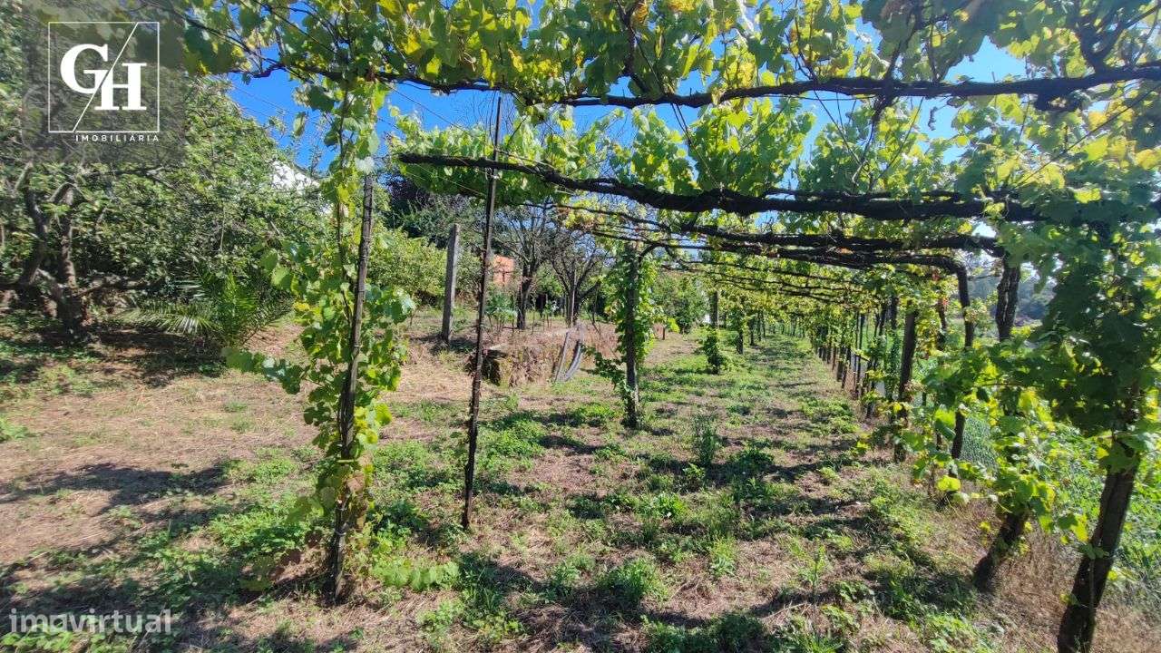 Terreno em Gondifelos - Grande imagem: 2/14