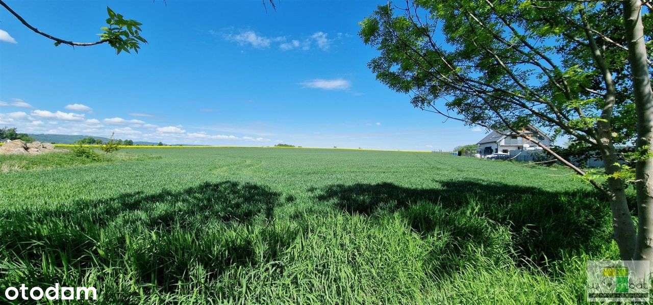 Urocza działka budowalna Lutomia Dolna-0