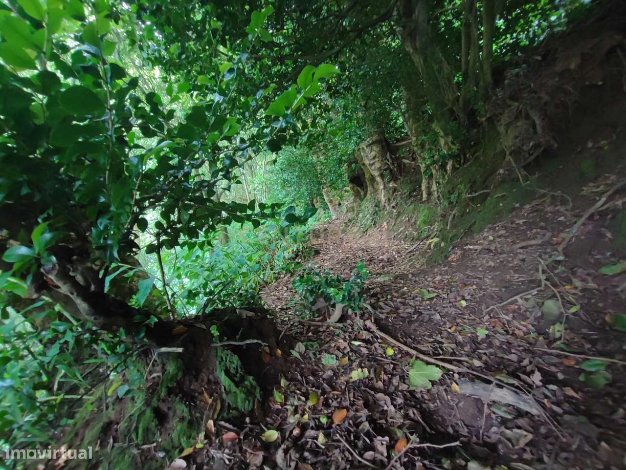 Terreno Rústico - Grande imagem: 5/12