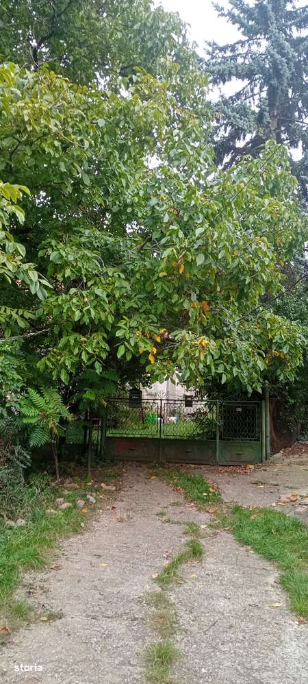 Vând apartament în casă, parter, în casă P+E+P, cu anexe și teren. - Imagine principală: 4/20