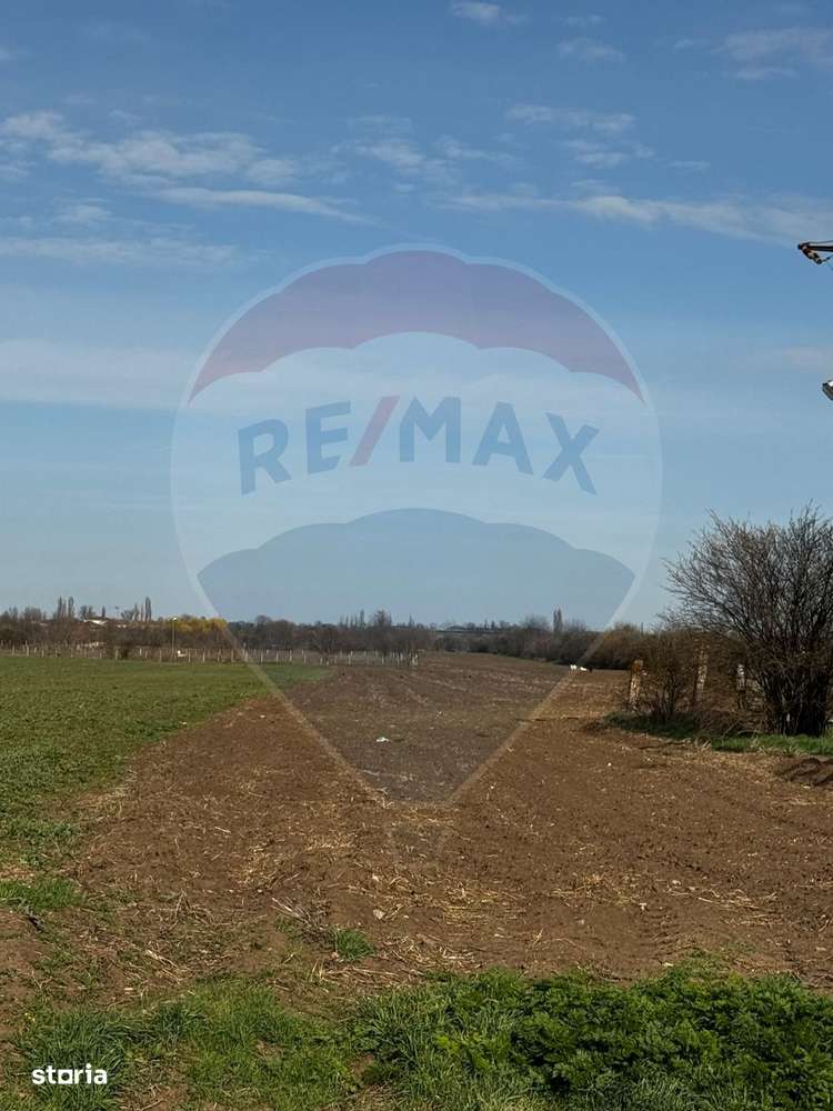 Teren intravilan de vânzare in Giurgiu / acces DN5B - Imagine principală: 3/3