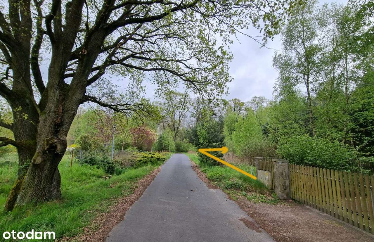 Strzelce gm Dobroszyce, WZ  fantastyczny teren przy lesie! od 232000zł-0