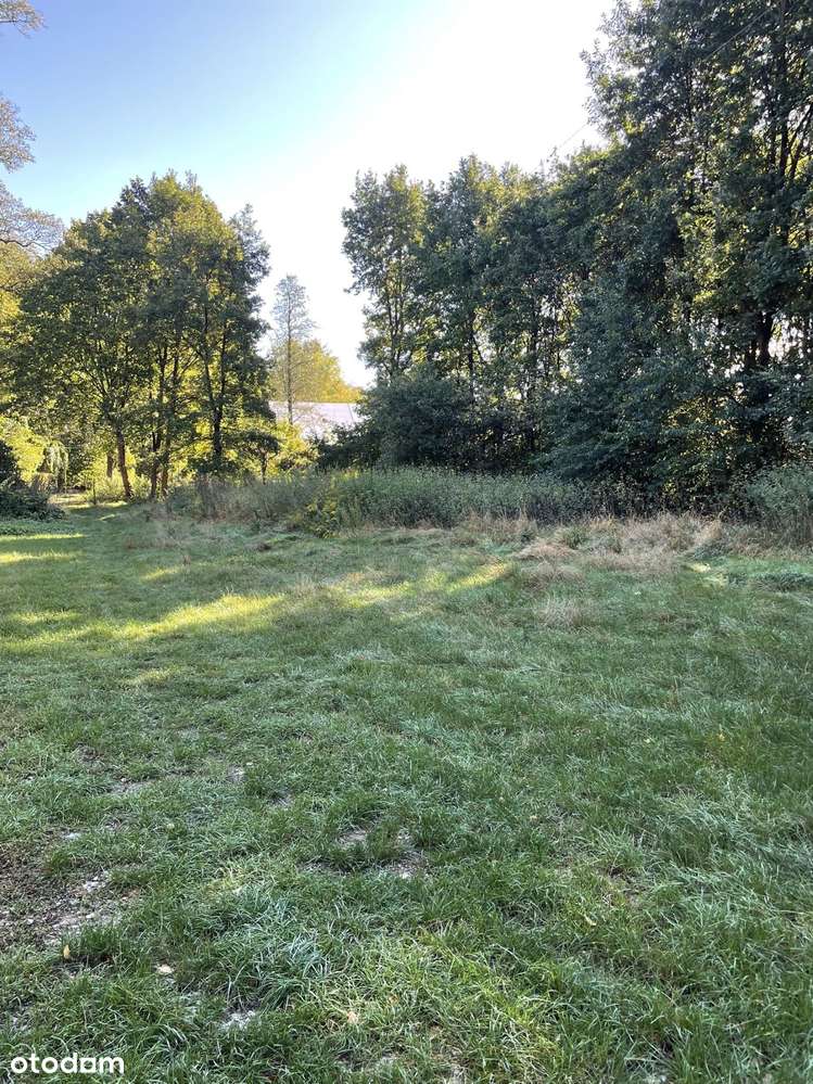 Działka 2700 m² w spokojnej okolicy z mediami - Pełny obrazek: 4/7