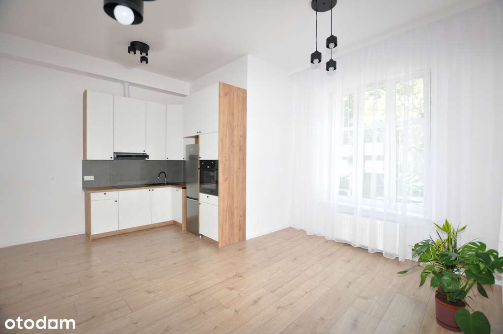 3 pokoje przy parku po kapitalnym remoncie - Pełny obrazek: 1/12