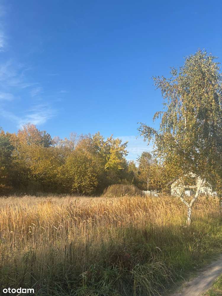 Działka budowlana Wyględy gm. Leszno-7