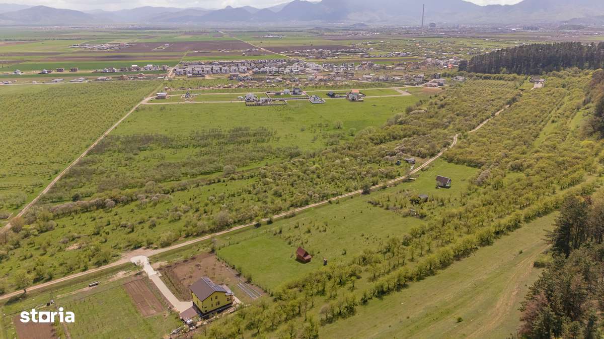 Teren vânzare 2717 mp/Sanpetru lângă dealul Lempes - Imagine principală: 3/8