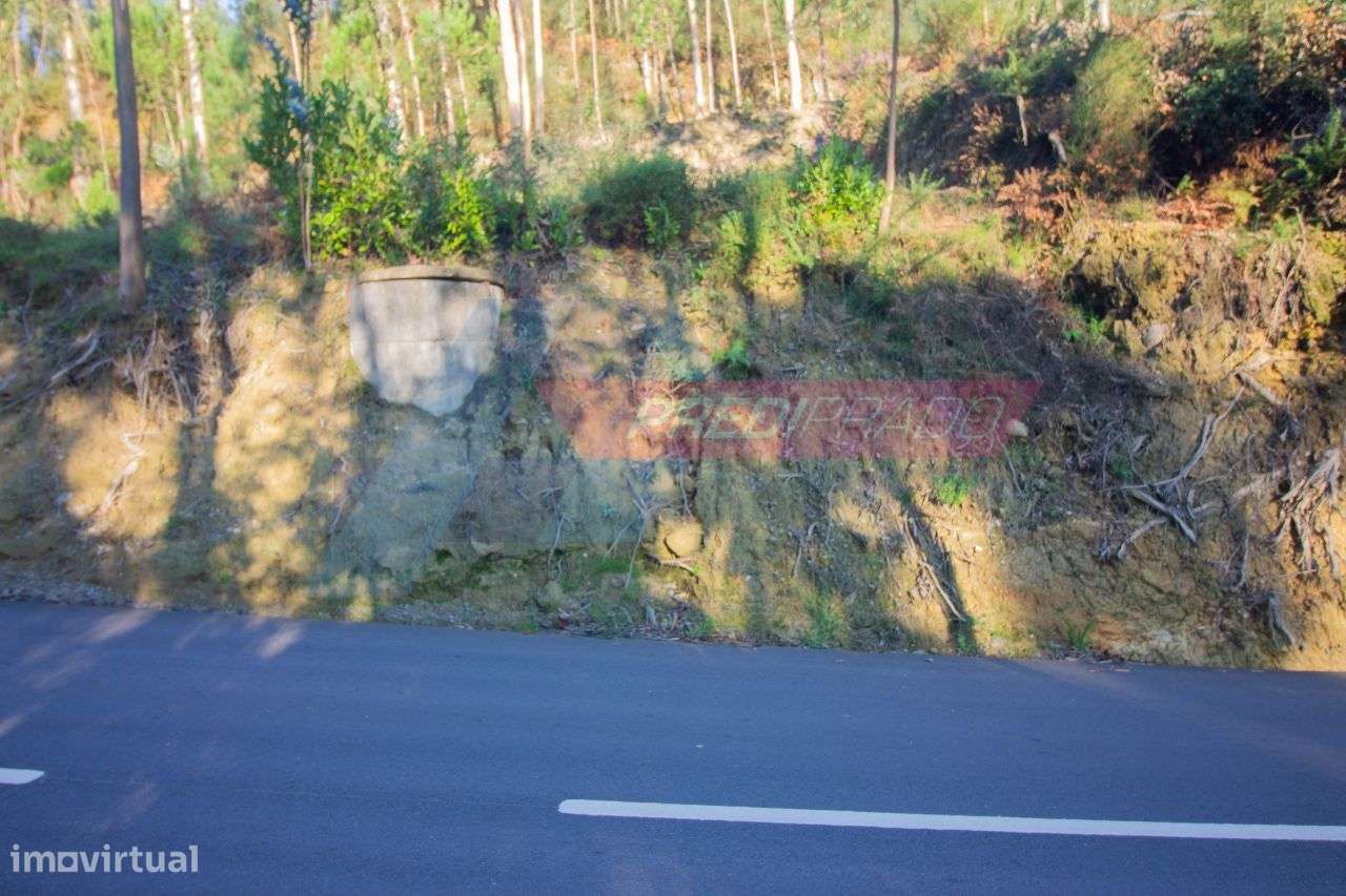 Terreno Florestal em Parada de Gatim, Vila Verde! - Grande imagem: 5/5