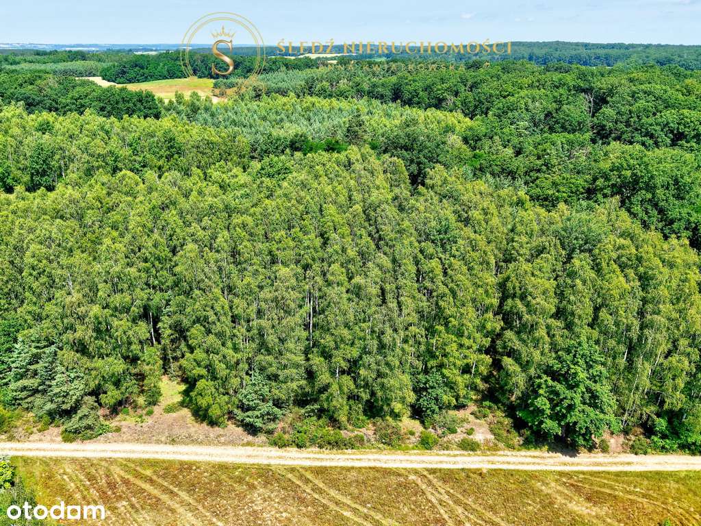 1,2 ha Działka Budowlana 45 min od Wrocławia + Las-12