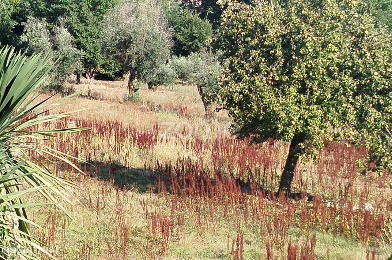 Terreno, 6 700 m², Santiago de Cassurrães e Póvoa de Cervães - Grande imagem: 1/32