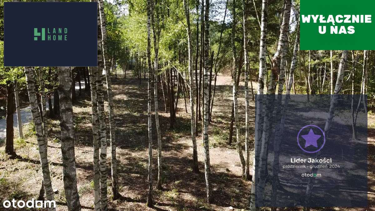 Działki budowlane w otoczeniu drzew - Pełny obrazek: 1/12