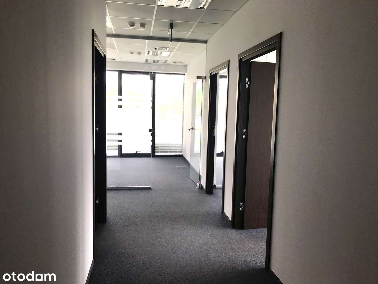 Nowoczesna powierzchnia biurowa z opcją powiększenia | Klasa A - Pełny obrazek: 4/4