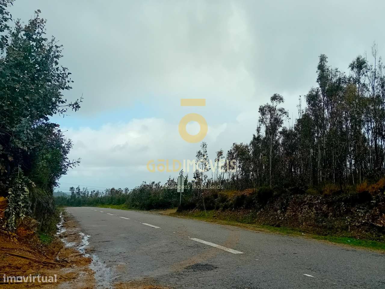 Terreno Florestal em Real - Castelo de Paiva - Grande imagem: 4/7