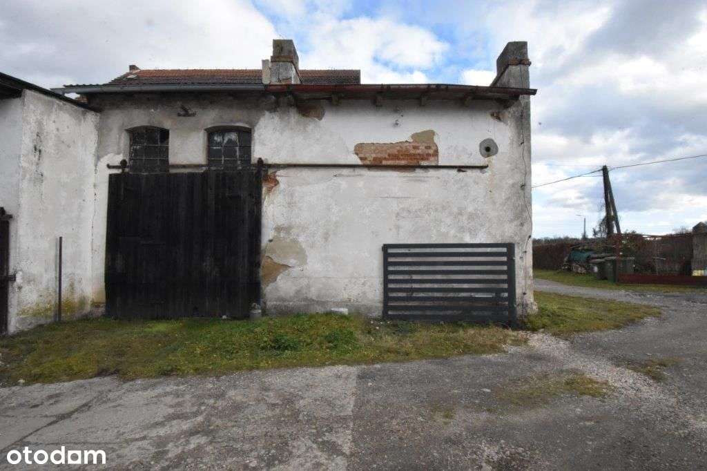 Lokal magazynowy - Jasienica Dolna - Pełny obrazek: 4/9