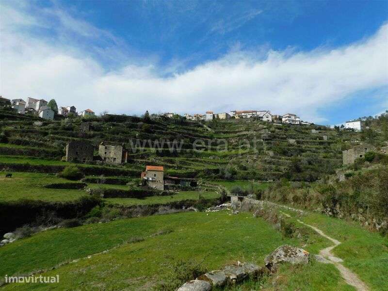 Quintinha / Seia, Loriga - Grande imagem: 5/13