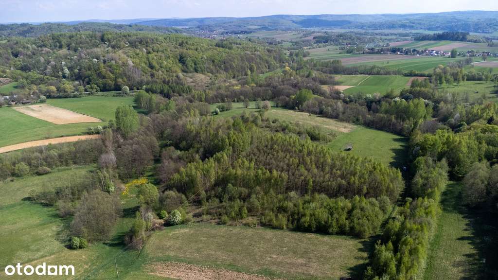 Urokliwa działka rolna 2,05 HA | Laskówka - Pełny obrazek: 5/20