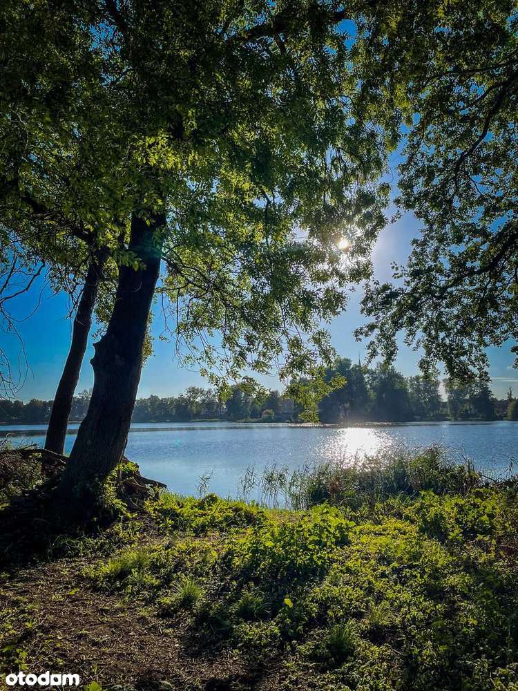 Działka nad jeziorem z Warunkami Zabudowy w Trzcińsko - Zdrój. - Pełny obrazek: 4/13