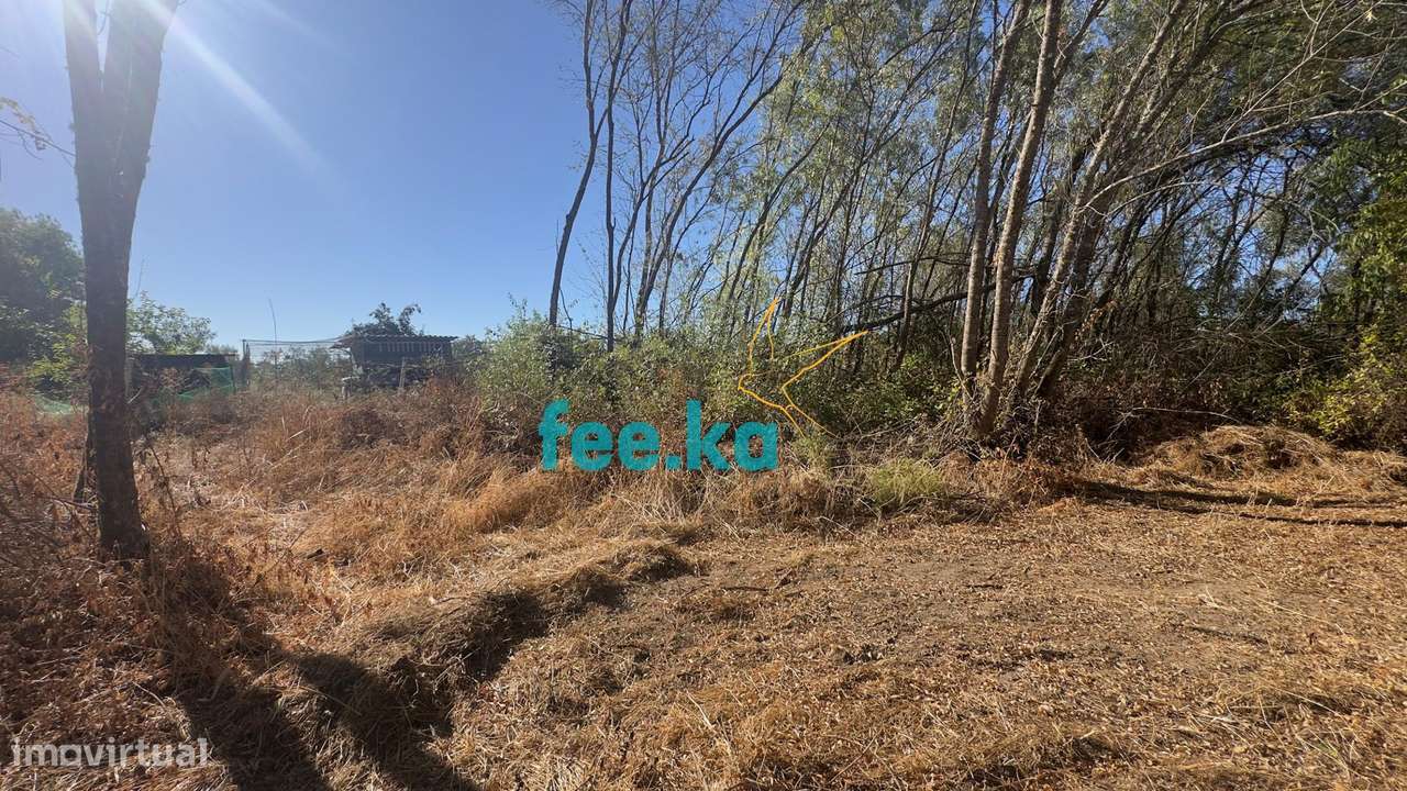 Terreno em Ladoeiro-27