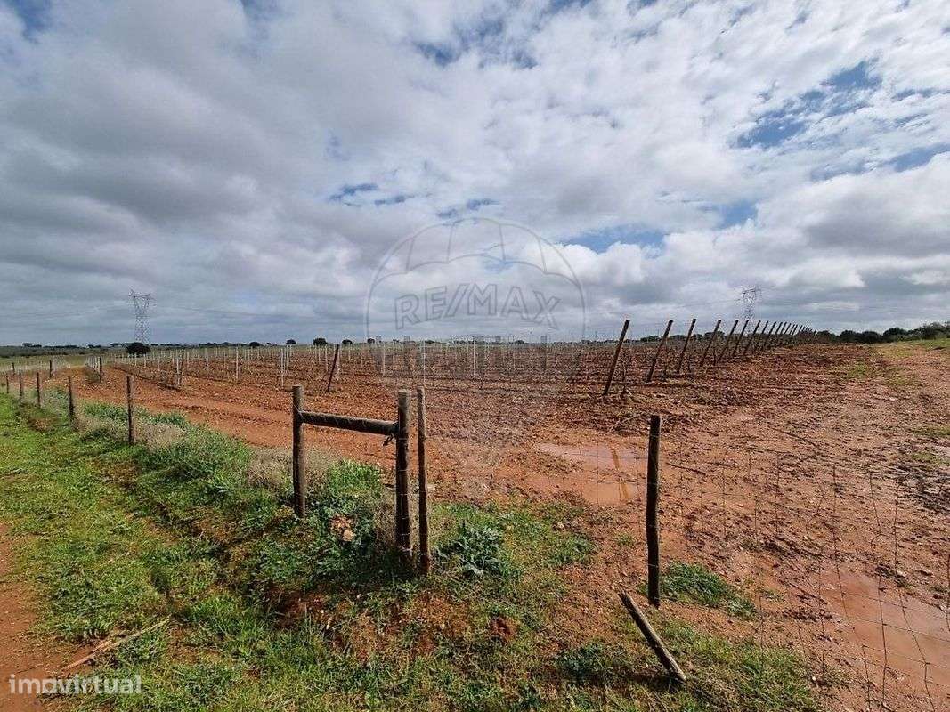 Terreno  para venda - Grande imagem: 5/12