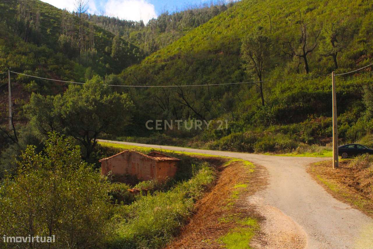 Terreno rústico JUNTO A RIBEIRA na Perna da Negra, a 15 minutos do cen - Grande imagem: 2/22